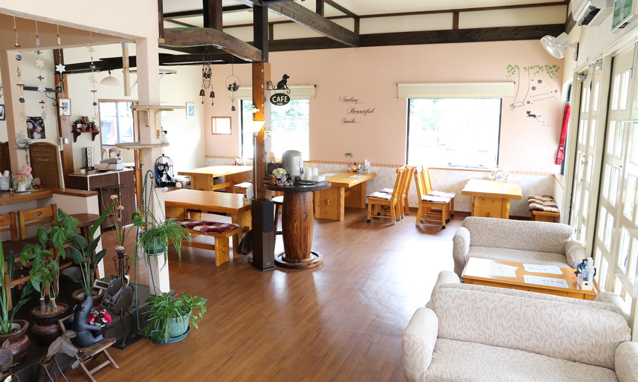 cafeduoのお店内観