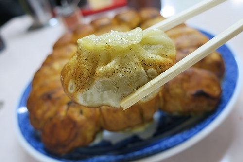 white-gyouza-up