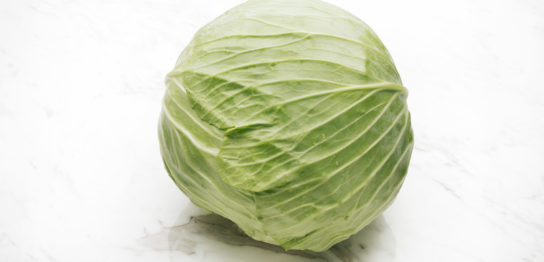 キャベツ