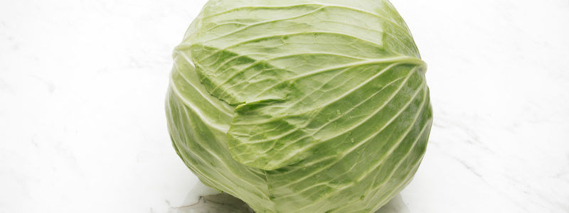 キャベツ